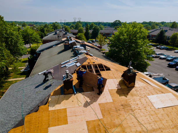 Best Residential Roof Replacement  in Fremont, MI
