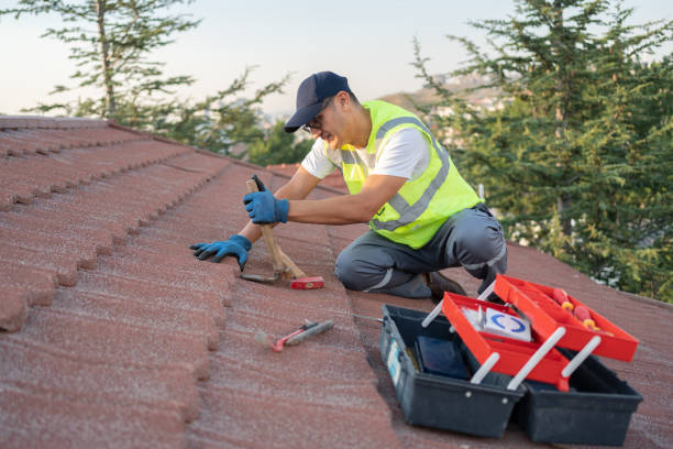 Best Roof Restoration Services  in Fremont, MI