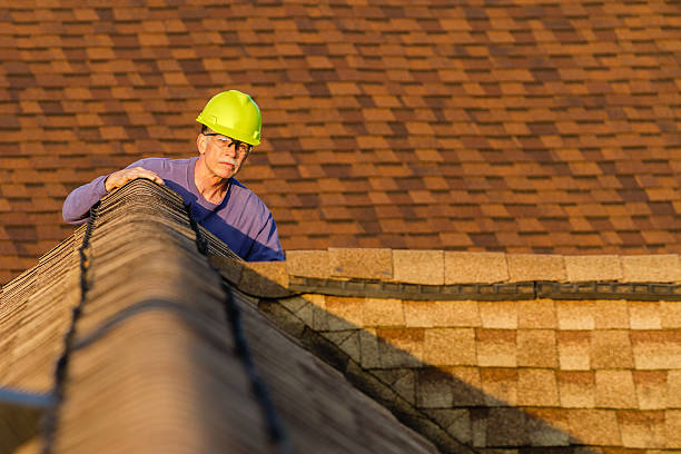 Best Local Roofing Companies  in Fremont, MI