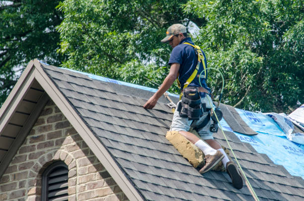 Best New Roof Installation  in Fremont, MI